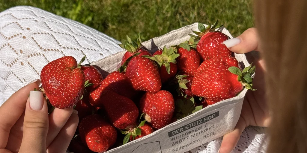 Erdbeeren
