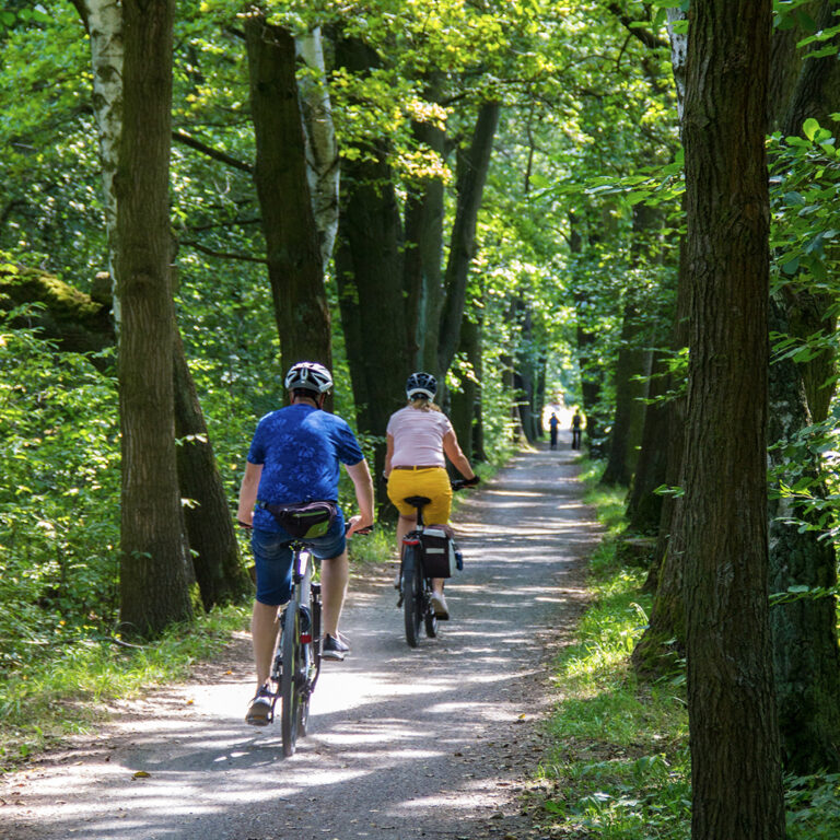 Menschen am Fahrrad fahren